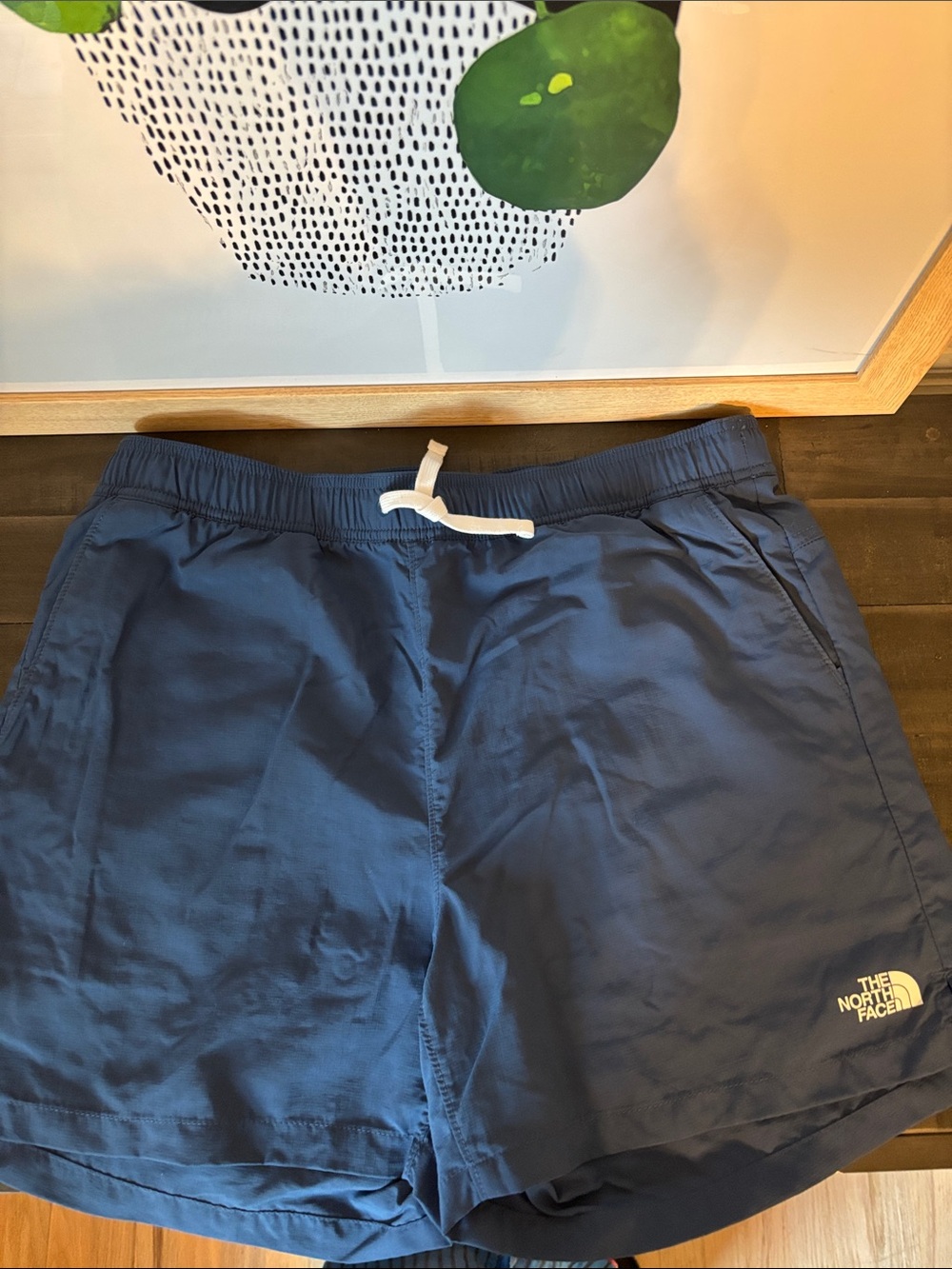 The North Face Navy shorts